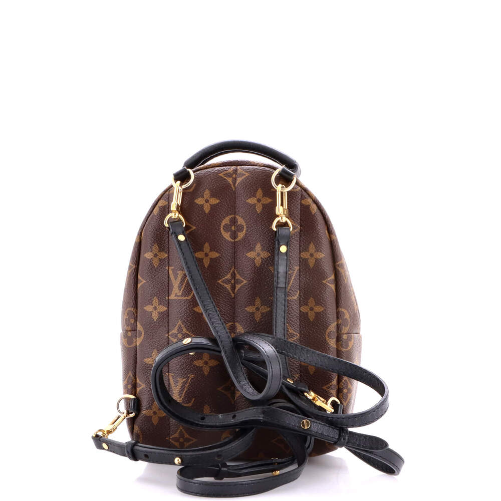 Louis Vuitton Palm Springs Backpack #224316L22B - Picture 3 of 8
